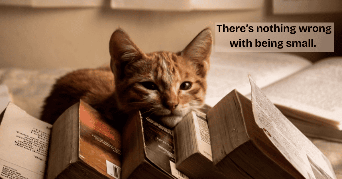 Small books
